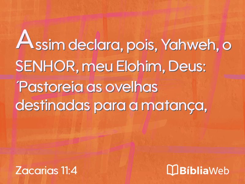 Zacarias 11:4 em imagem para compartilhar