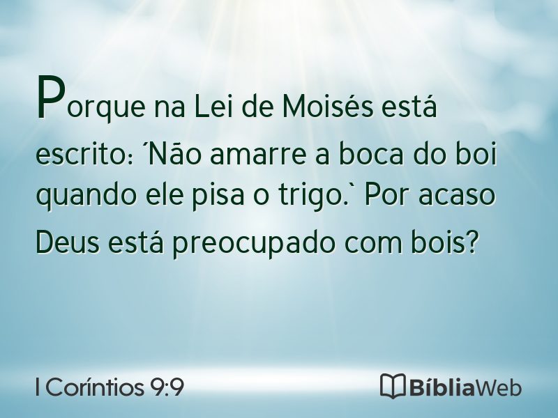 I Coríntios 9:9 em imagem para compartilhar