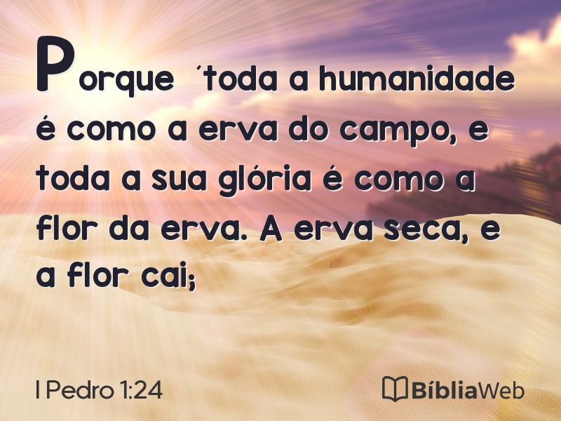I Pedro 1:24 em imagem para compartilhar