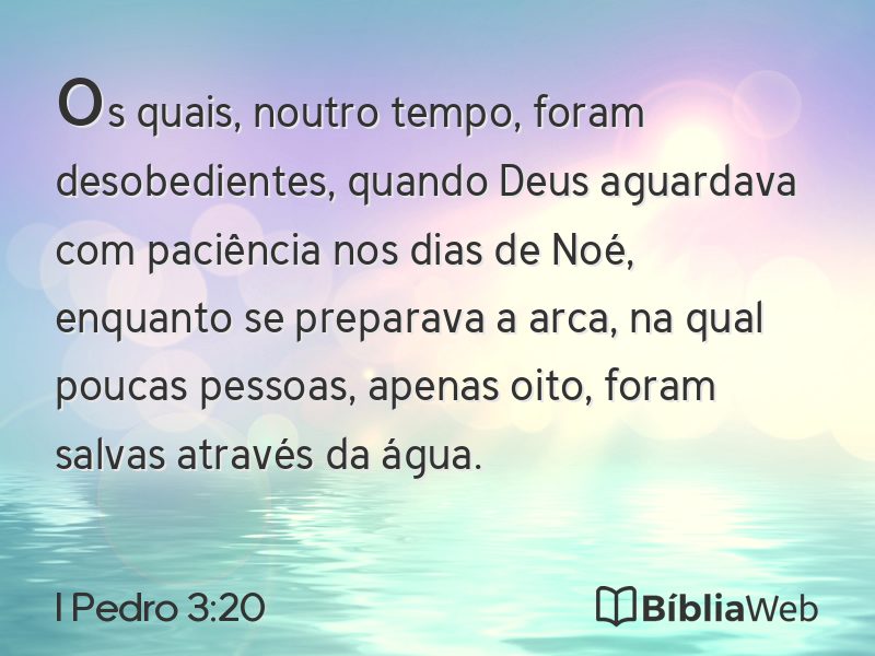 I Pedro 3:20 em imagem para compartilhar