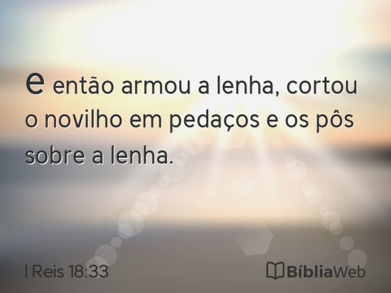 I Reis 18:33 em imagem para compartilhar