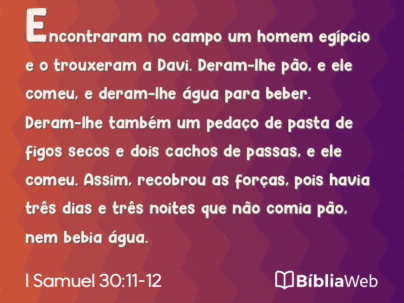 I Samuel 30:11-12 em imagem para compartilhar