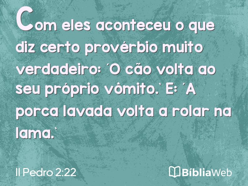 II Pedro 2:22 em imagem para compartilhar