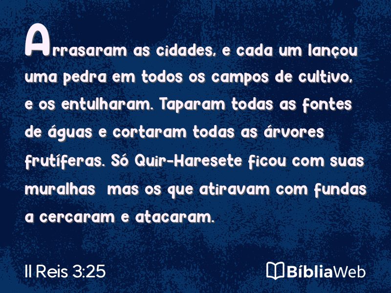 II Reis 3:25 em imagem para compartilhar
