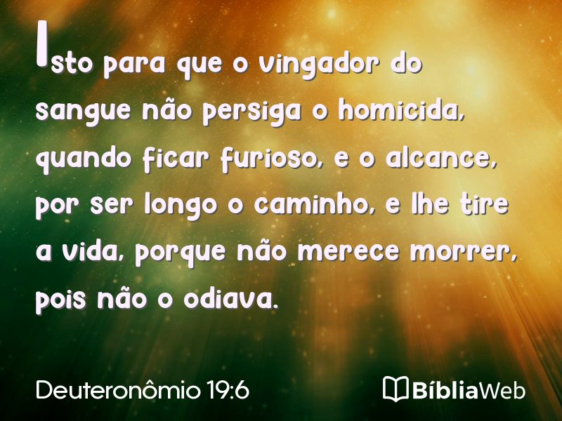 Deuteronômio 19:6 em imagem para compartilhar