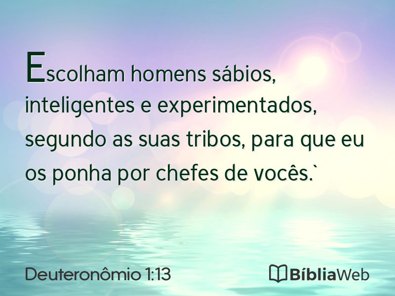 Deuteronômio 1:13 em imagem para compartilhar