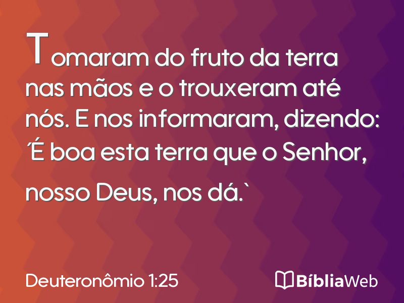 Deuteronômio 1:25 em imagem para compartilhar