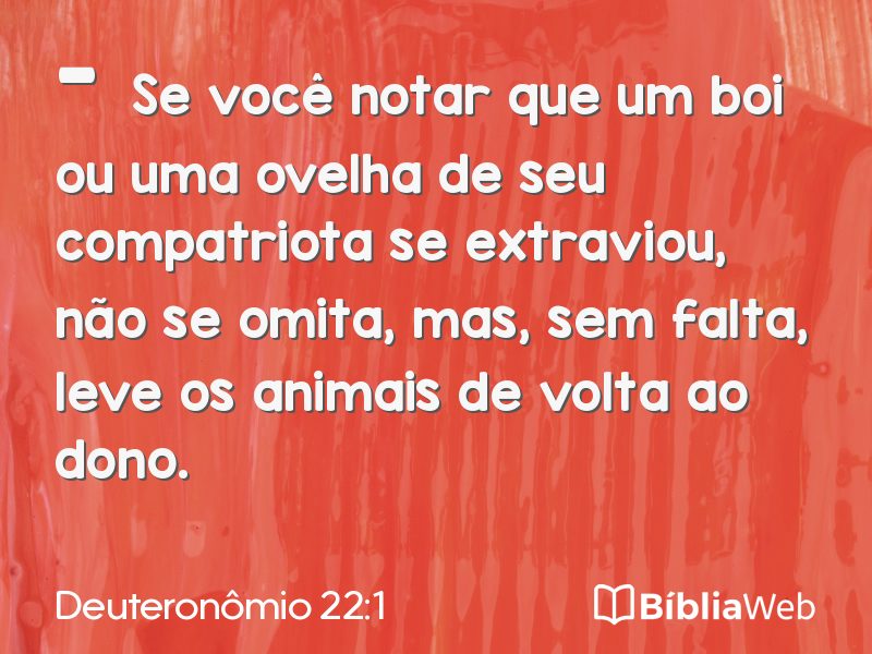 Deuteronômio 22:1 em imagem para compartilhar