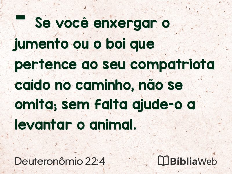 Deuteronômio 22:4 em imagem para compartilhar