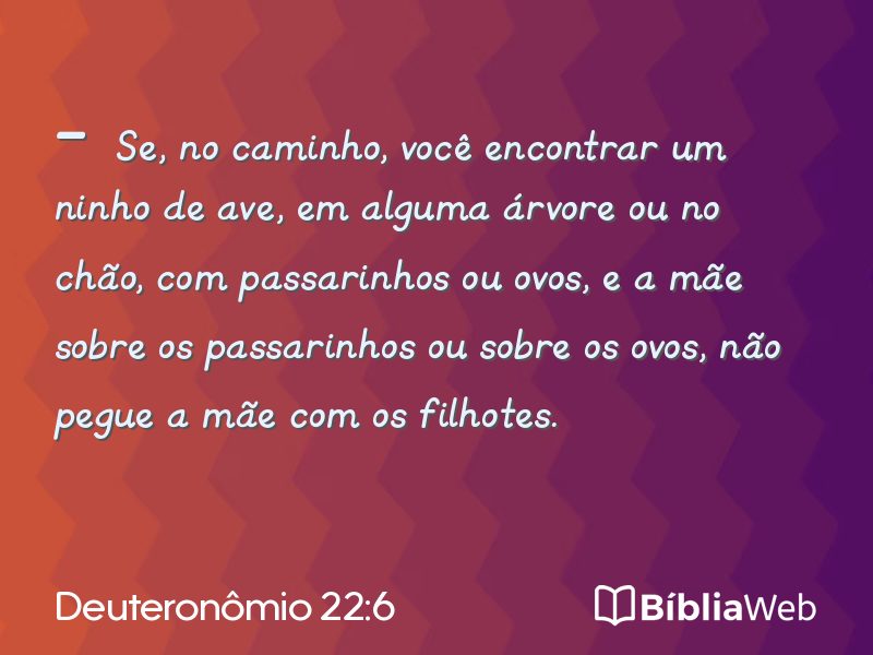 Deuteronômio 22:6 em imagem para compartilhar