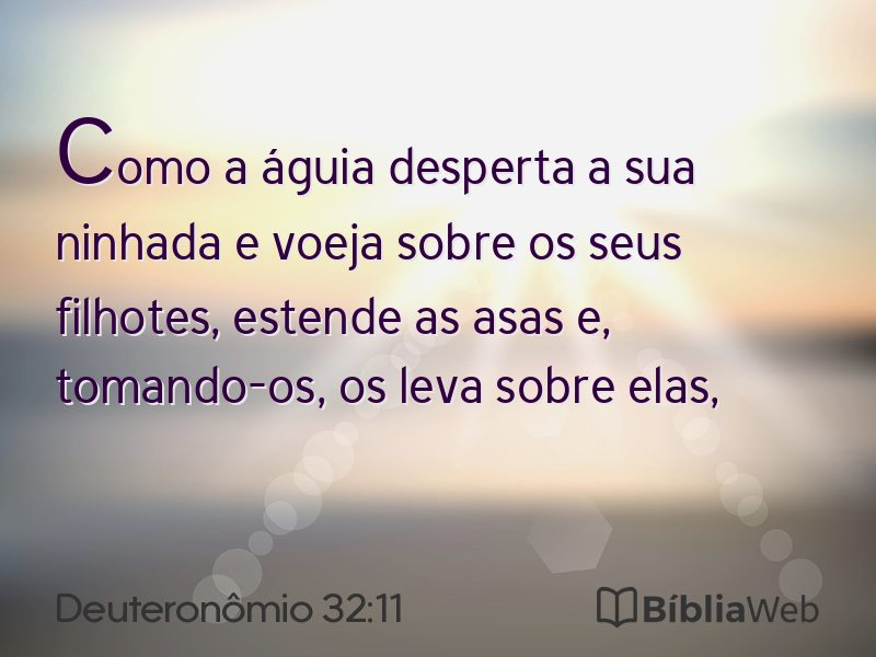 Deuteronômio 32:11 em imagem para compartilhar