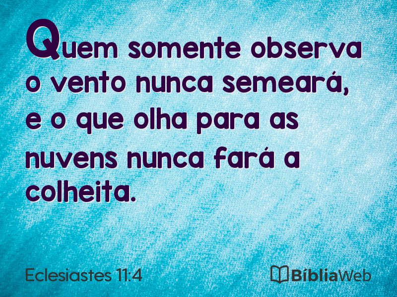 Eclesiastes 11:4 em imagem para compartilhar