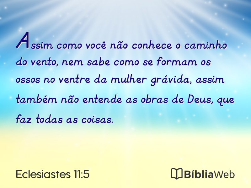 Eclesiastes 11:5 em imagem para compartilhar