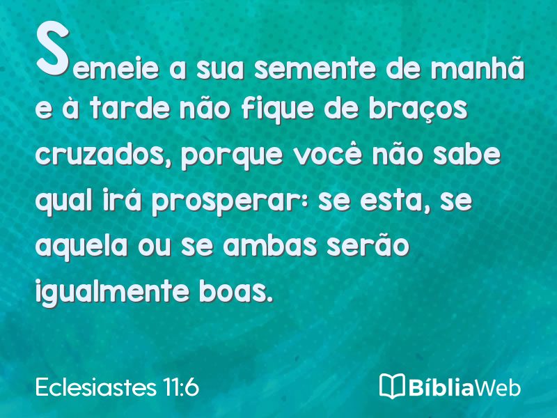 Eclesiastes 11:6 em imagem para compartilhar