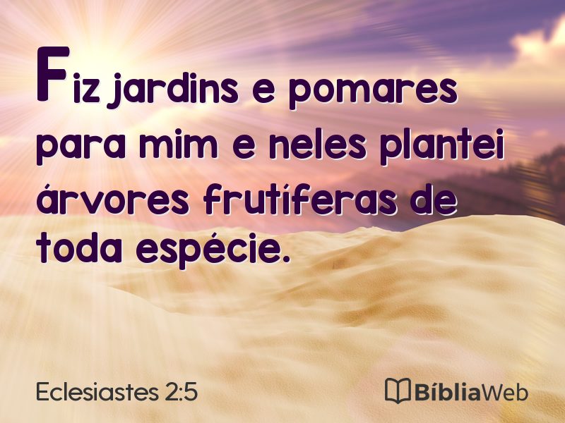 Eclesiastes 2:5 em imagem para compartilhar