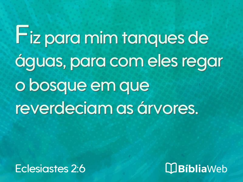 Eclesiastes 2:6 em imagem para compartilhar