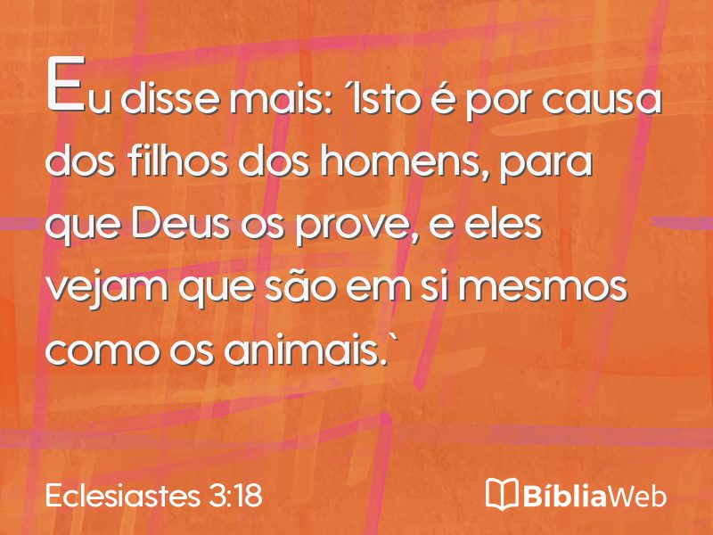 Eclesiastes 3:18 em imagem para compartilhar