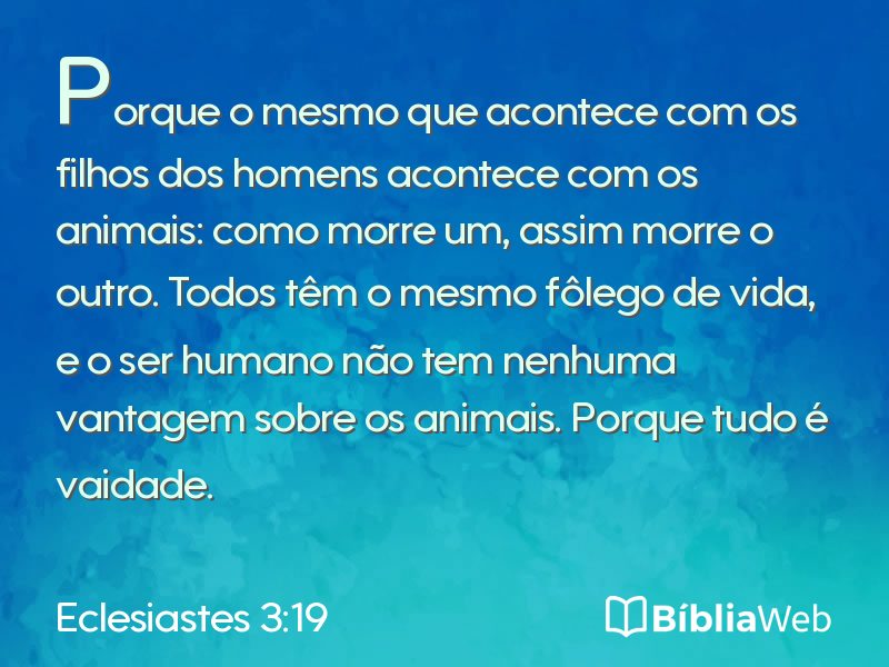 Eclesiastes 3:19 em imagem para compartilhar