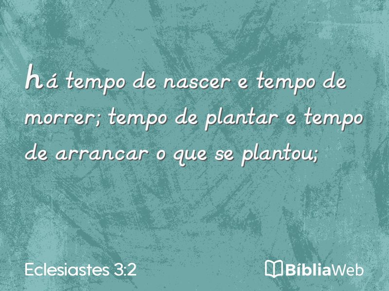 Eclesiastes 3:2 em imagem para compartilhar