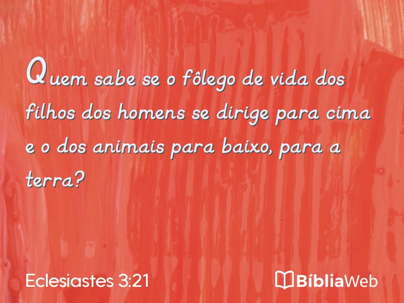 Eclesiastes 3:21 em imagem para compartilhar