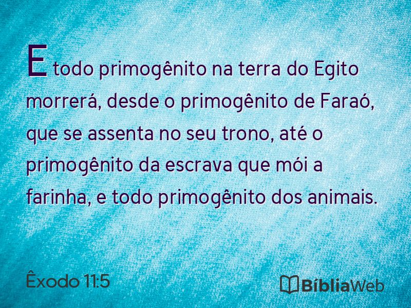 Êxodo 11:5 em imagem para compartilhar
