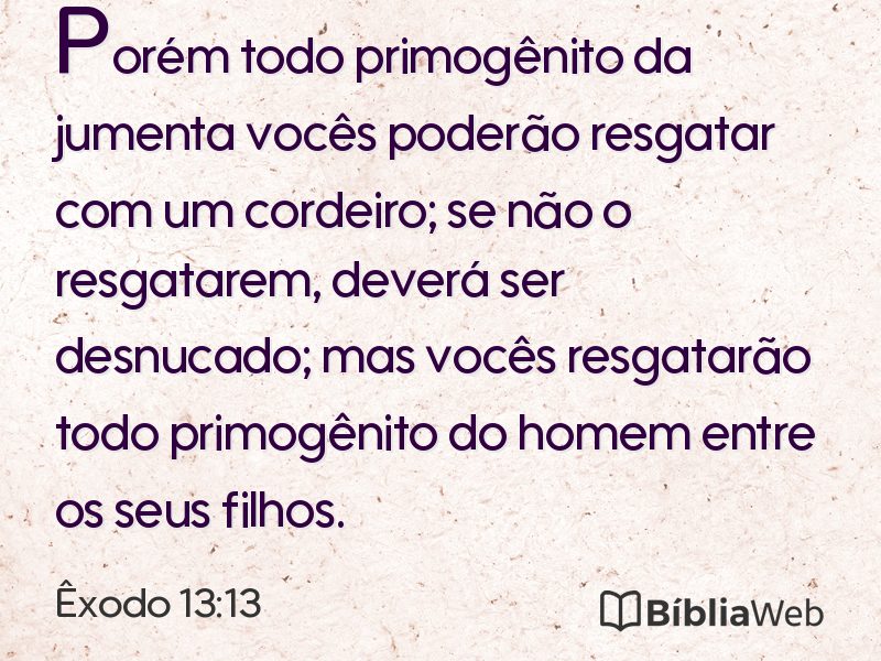 Êxodo 13:13 em imagem para compartilhar