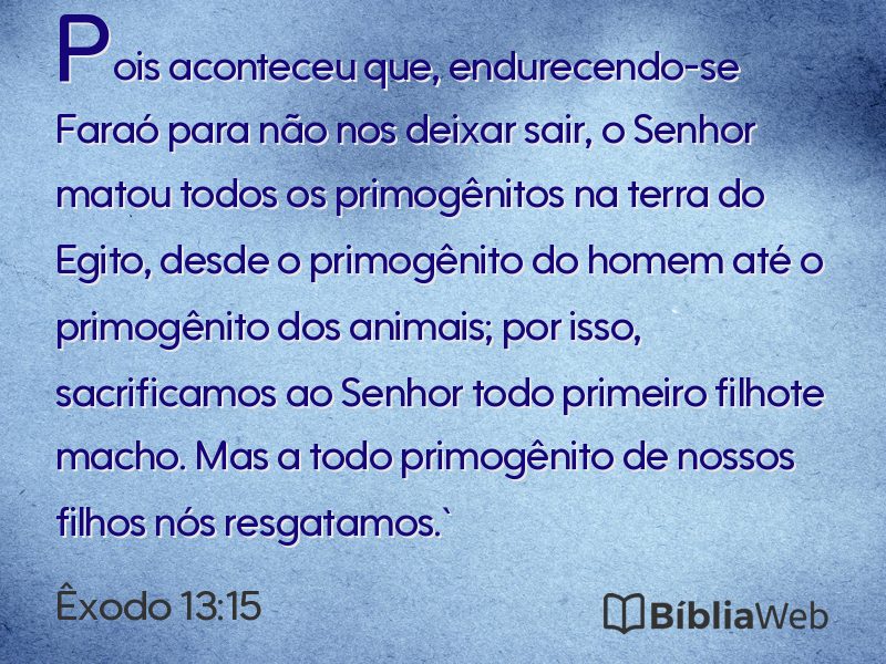 Êxodo 13:15 em imagem para compartilhar
