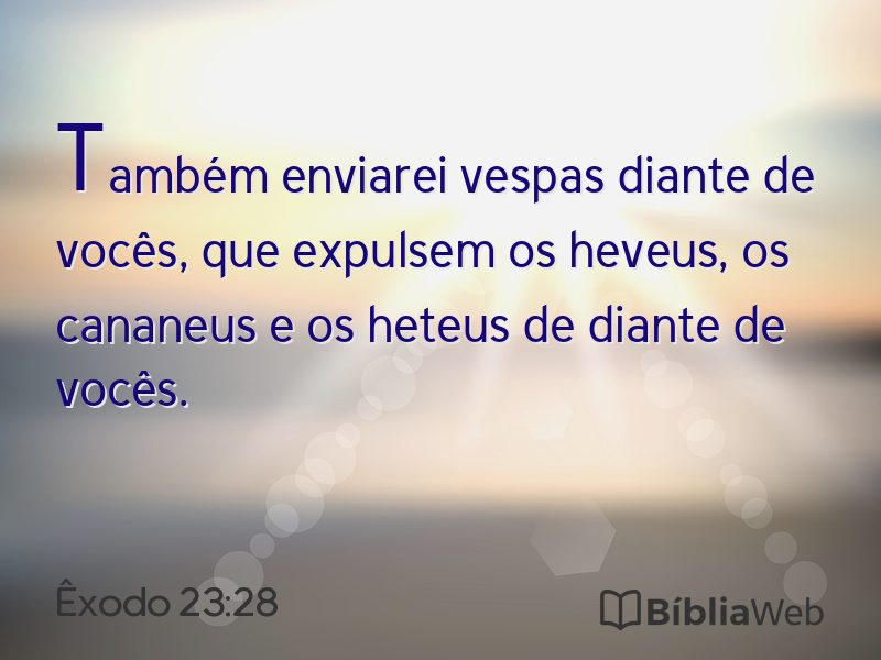 Êxodo 23:28 em imagem para compartilhar