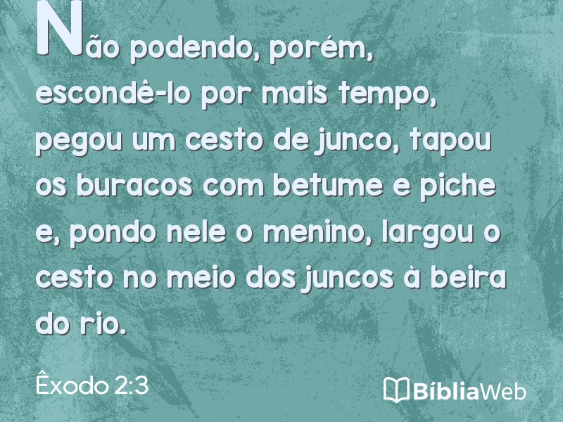 Êxodo 2:3 em imagem para compartilhar