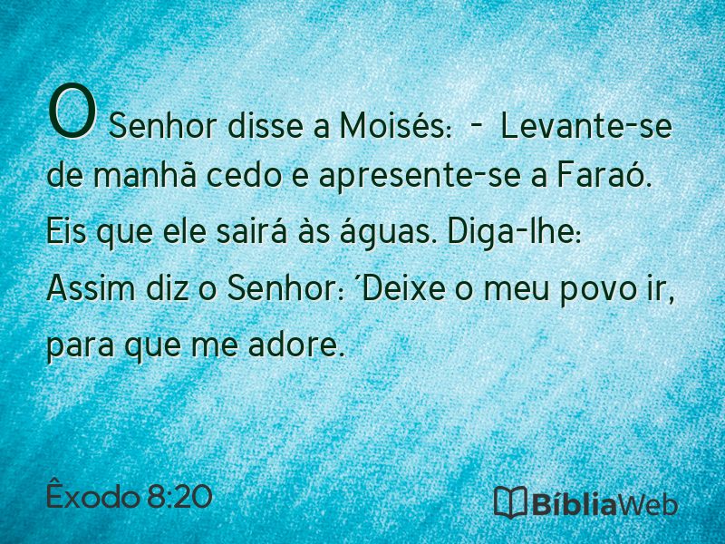 Êxodo 8:20 em imagem para compartilhar