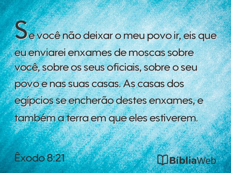 Êxodo 8:21 em imagem para compartilhar