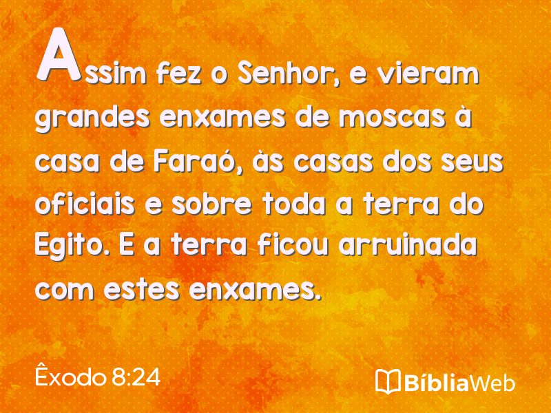Êxodo 8:24 em imagem para compartilhar