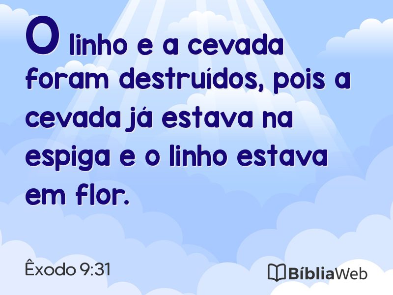 Êxodo 9:31 em imagem para compartilhar