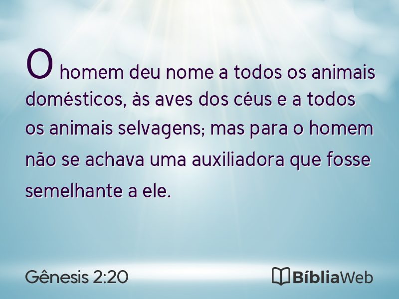 Gênesis 2:20 em imagem para compartilhar