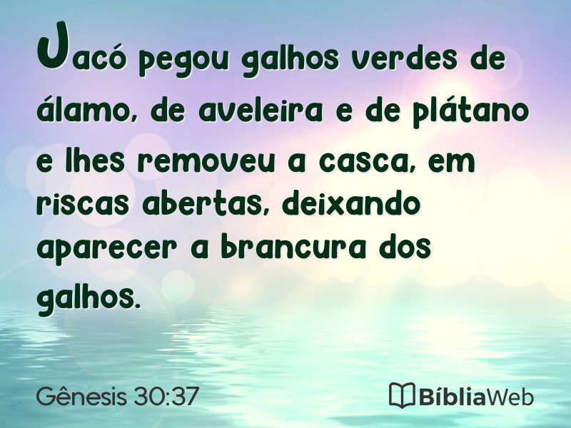 Gênesis 30:37 em imagem para compartilhar