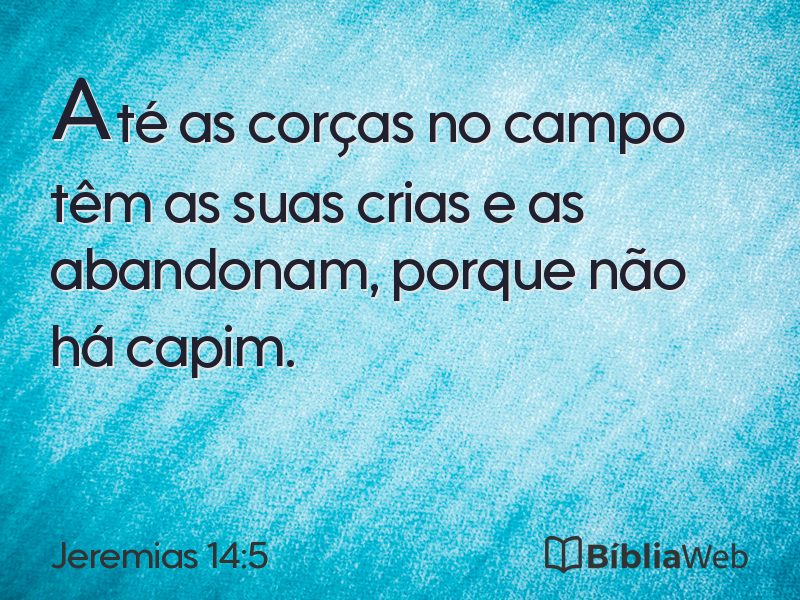 Jeremias 14:5 em imagem para compartilhar