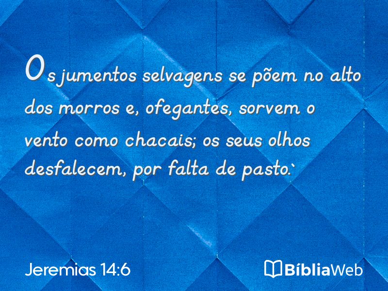 Jeremias 14:6 em imagem para compartilhar
