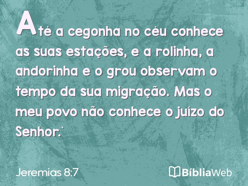 Jeremias 8:7 em imagem para compartilhar