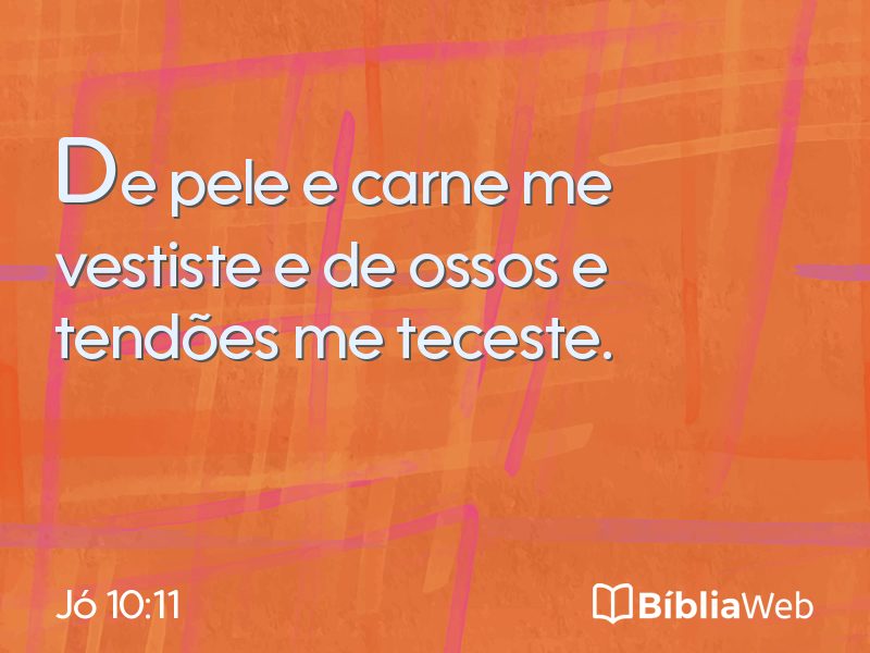 Jó 10:11 em imagem para compartilhar