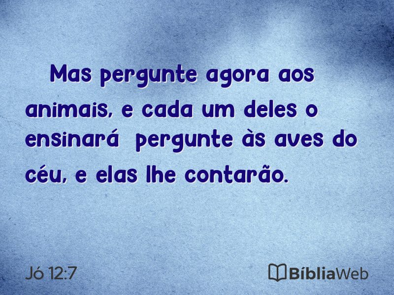 Jó 12:7 em imagem para compartilhar