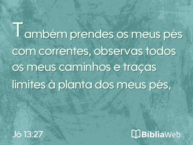 Jó 13:27 em imagem para compartilhar