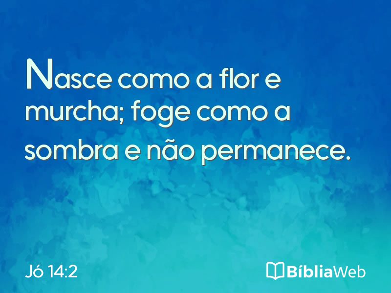 Jó 14:2 em imagem para compartilhar