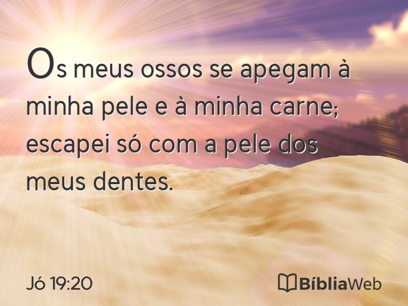 Jó 19:20 em imagem para compartilhar