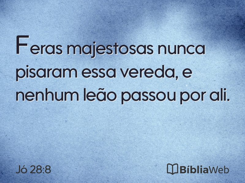 Jó 28:8 em imagem para compartilhar