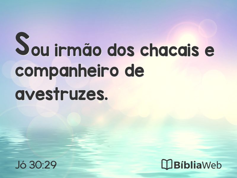 Jó 30:29 em imagem para compartilhar