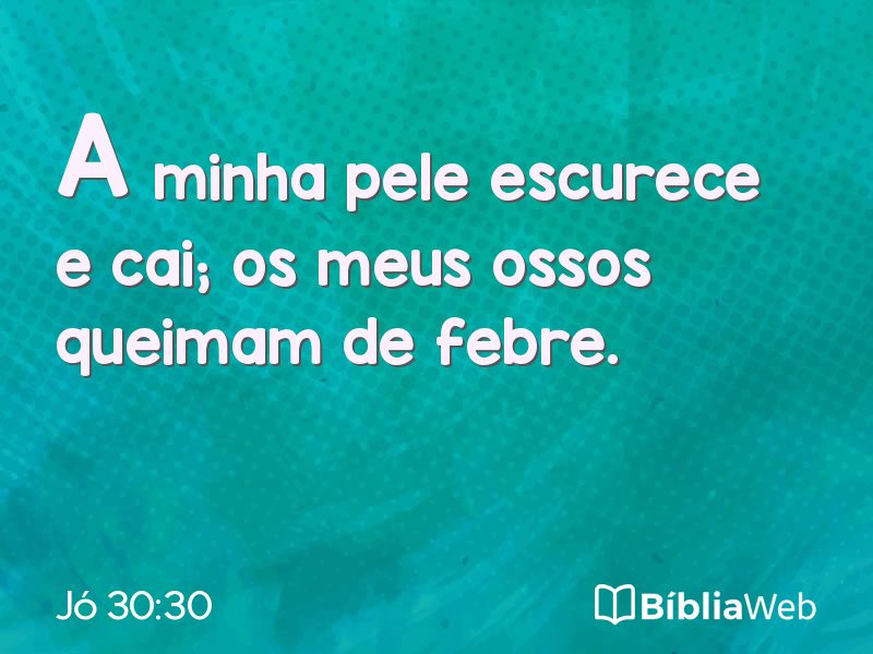 Jó 30:30 em imagem para compartilhar