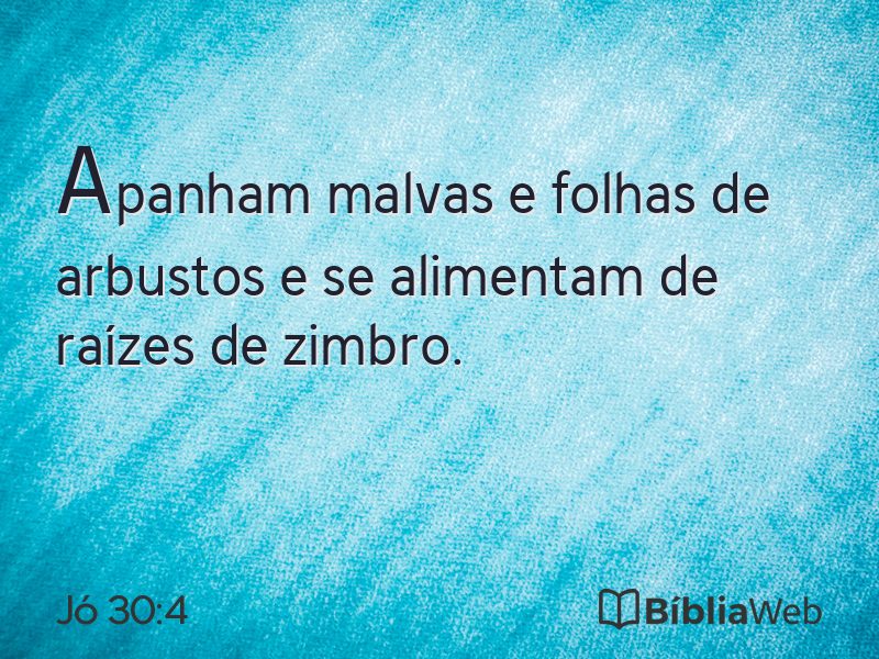 Jó 30:4 em imagem para compartilhar