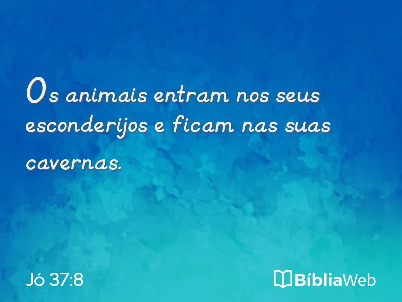 Jó 37:8 em imagem para compartilhar
