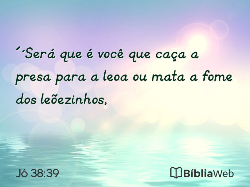Jó 38:39 em imagem para compartilhar