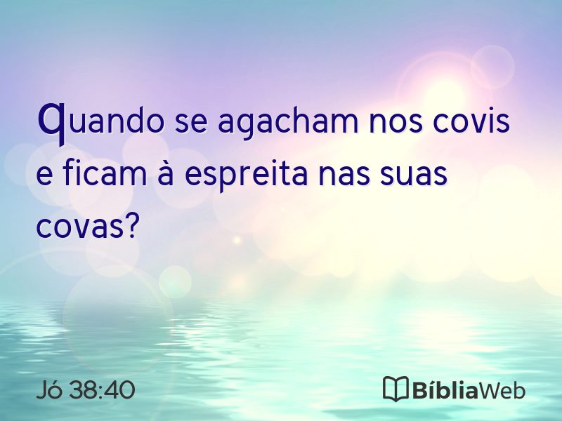 Jó 38:40 em imagem para compartilhar